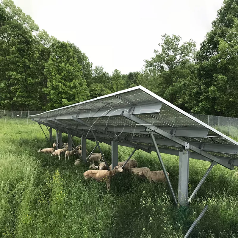 Solar Panels for Farm